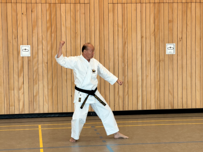 Karate Seminar 2023 in Deutschland_9